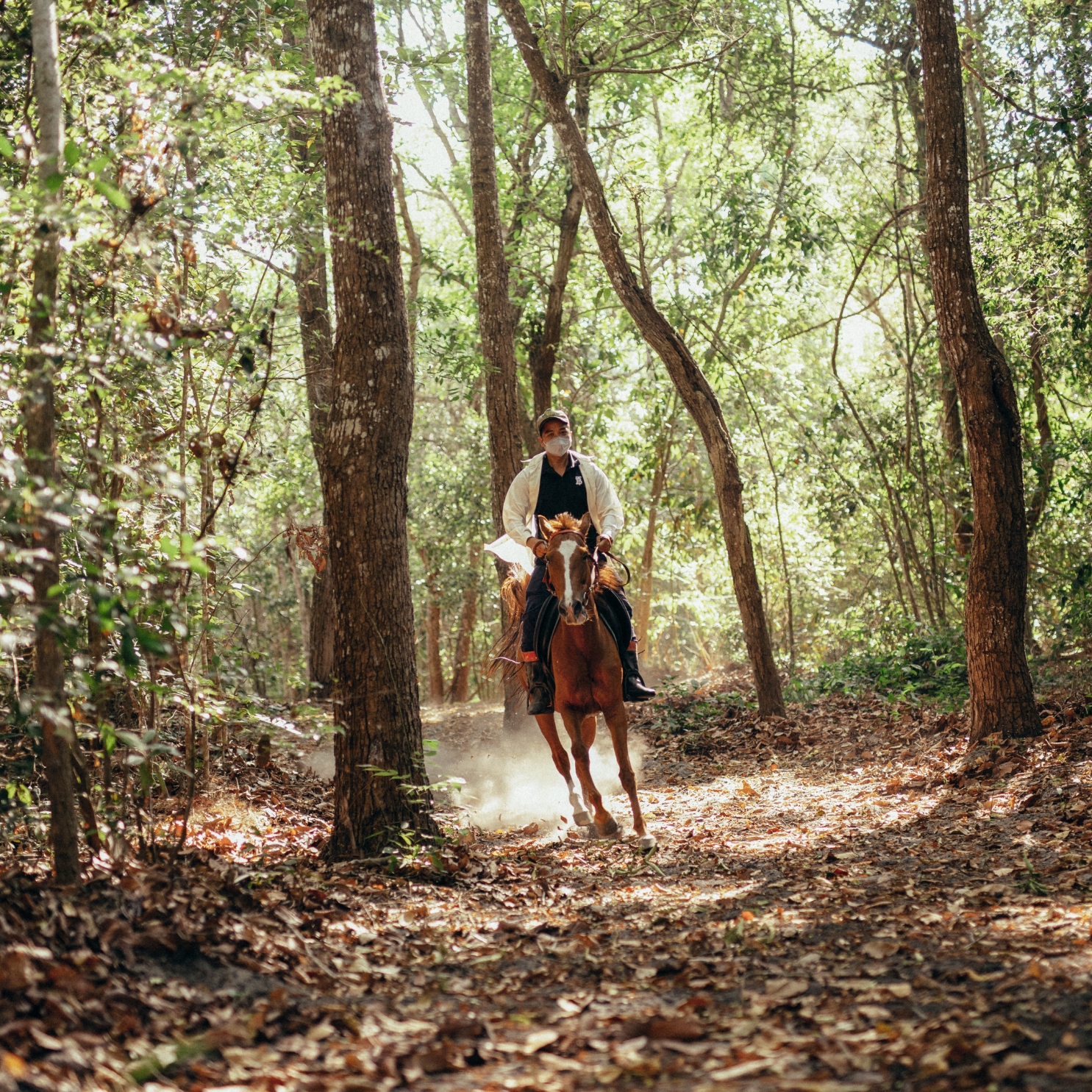 a man riding a horse in the forest
